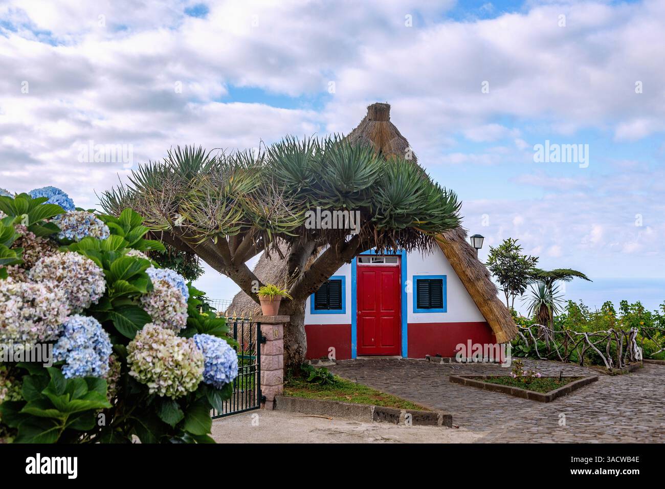 Santana, Casas de Colmo, isola portoghese di Madeira, Portogallo Foto Stock