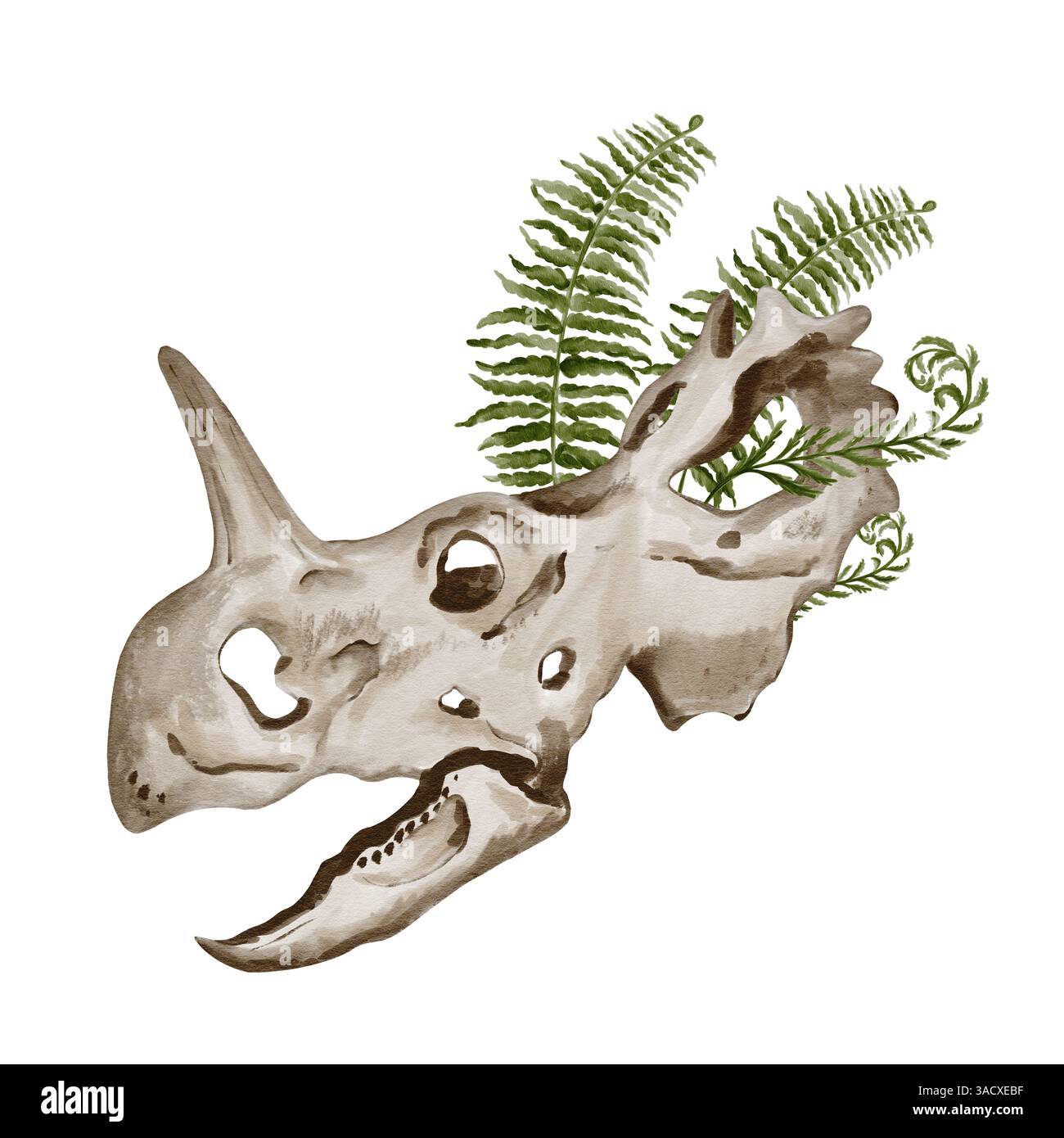 Cranio di dinosauro di Traceratops. Felce che cresce nello scheletro. Antico fossile. Ossa e piante. Illustrazione acquerello senza sfondo. Disegno a mano. Foto Stock