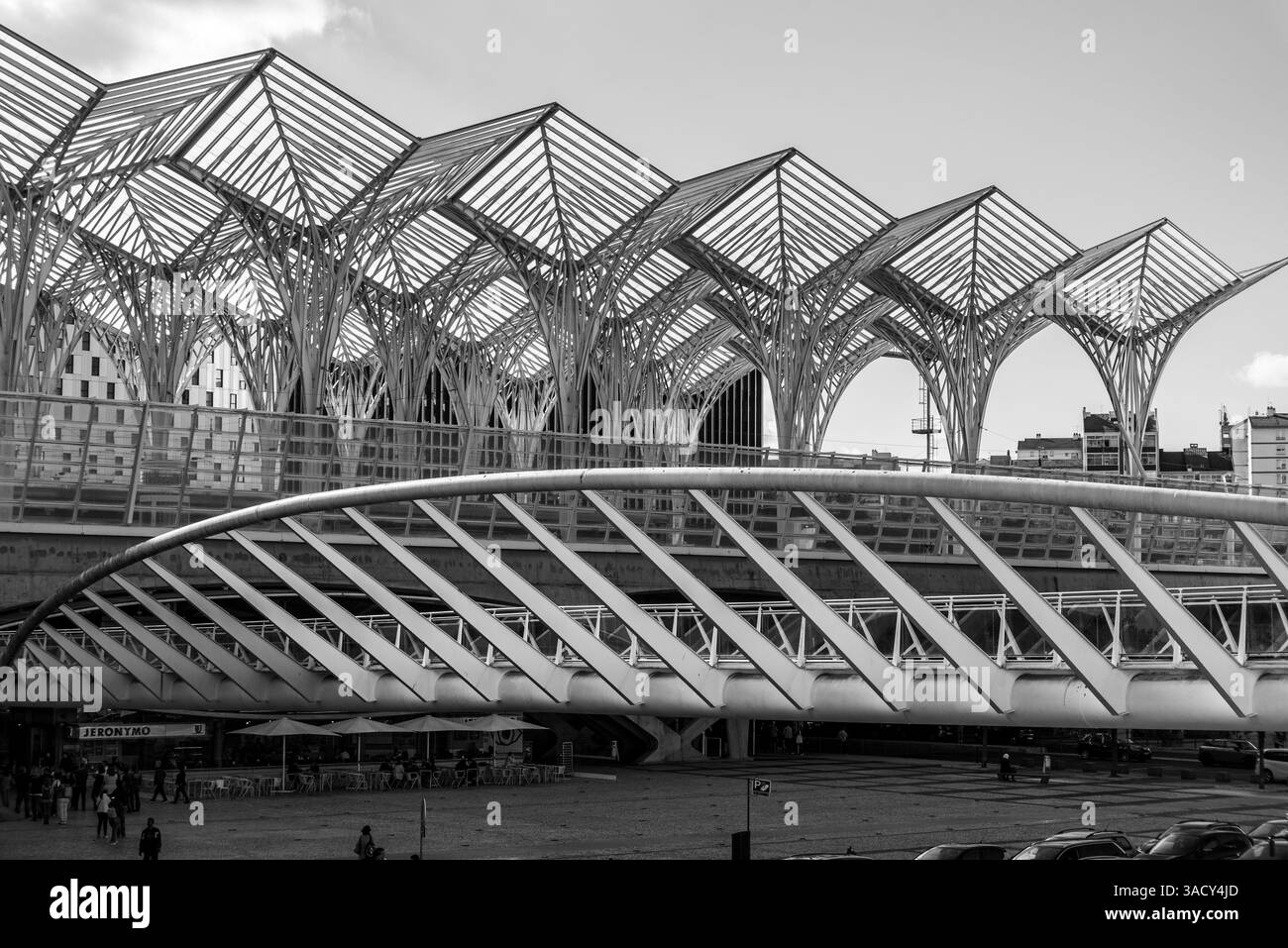 Lisboa, Portogallo, dettaglio architettonico della stazione ferroviaria dal design moderno Lisboa Est, Portogallo, progettato dall'architetto Santiago Calatrava Foto Stock