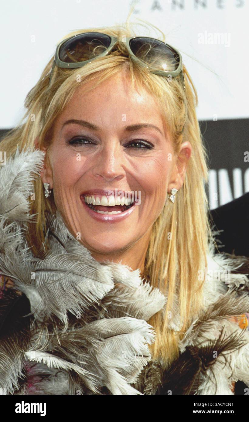 16 maggio 2005; Cannes, FRANCIA; l'attrice SHARON STONE al "Basic Instinct 2" photocall al 58° Festival annuale di Cannes. (Immagine di credito: Frederic Injimbert/ZUMAPRESS.com) Foto Stock