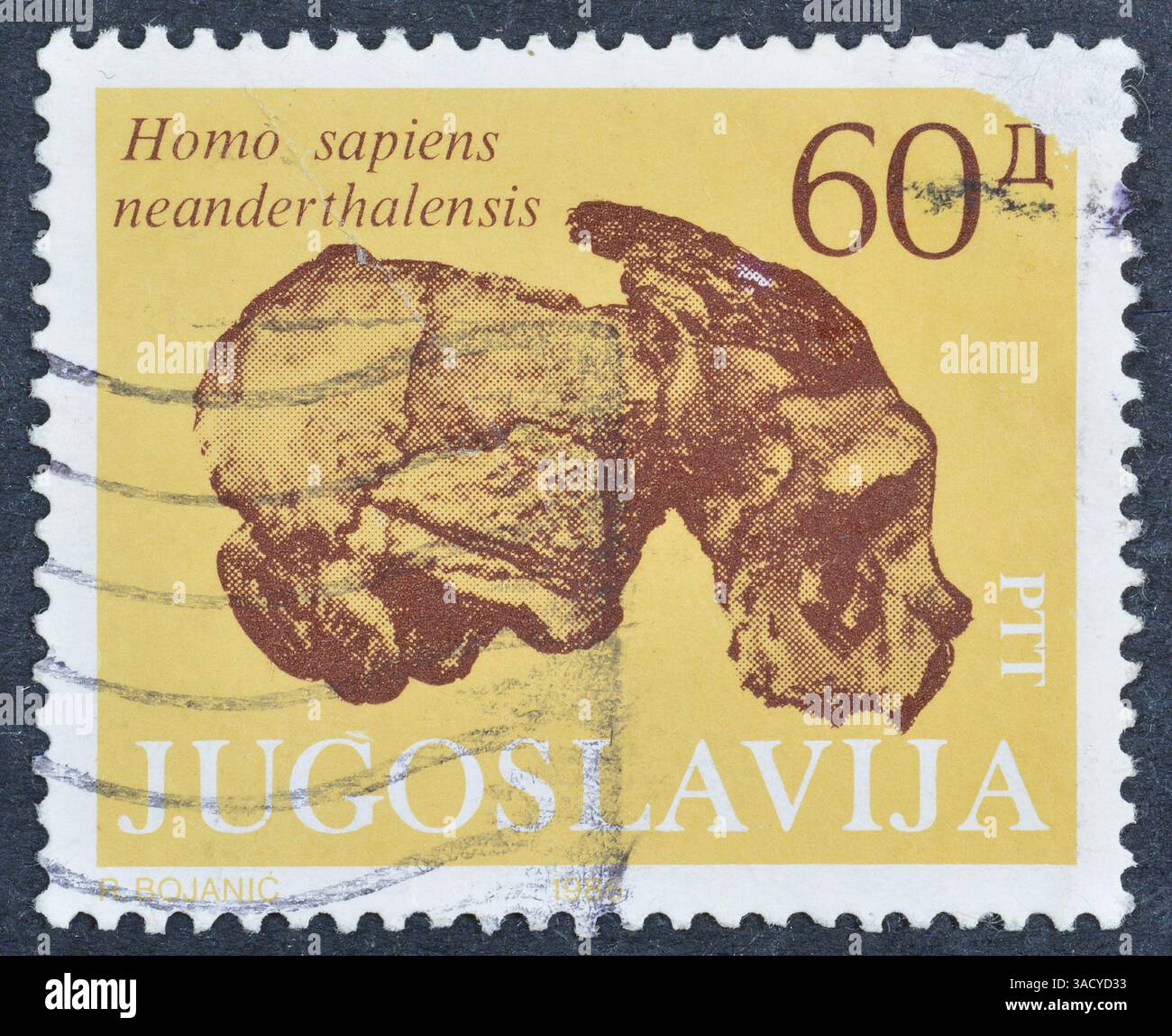 Francobollo cancellato stampato dalla Jugoslavia, che mostra Fossil - Homosapiens neanderthalesis, circa 1985. Foto Stock