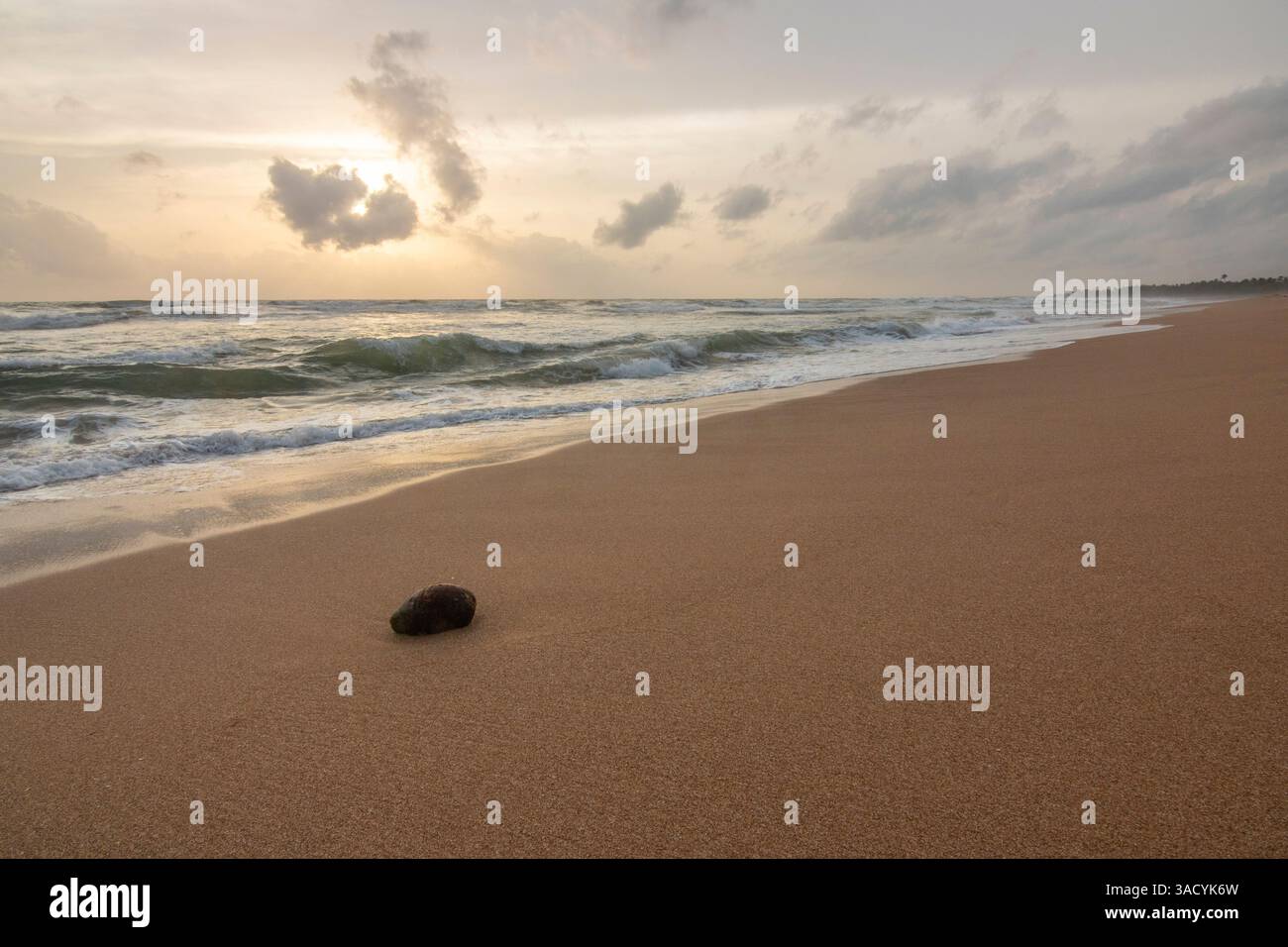 Paesaggio in riva al mare, lunga spiaggia deserta con vista sull'acqua fino all'orizzonte. Le onde di una tempesta si infrangono nella sabbia e danno un tocco speciale all'immagine al tramonto. Bentota, Sri Lanka, Asia Foto Stock