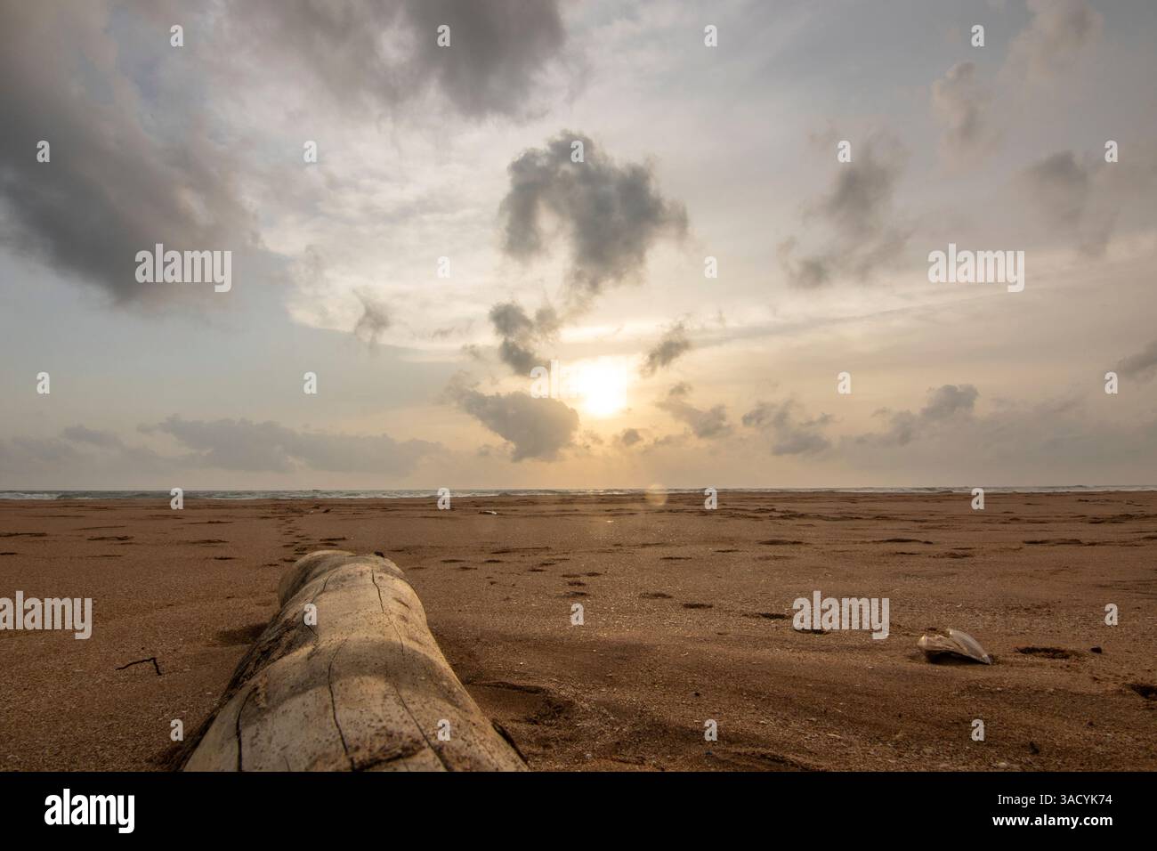 Paesaggio in riva al mare, lunga spiaggia solitaria con vista sull'acqua fino all'orizzonte. Le onde di una tempesta si infrangono nella sabbia e danno un tocco speciale all'immagine al tramonto. Bentota, Sri Lanka, Asia Foto Stock