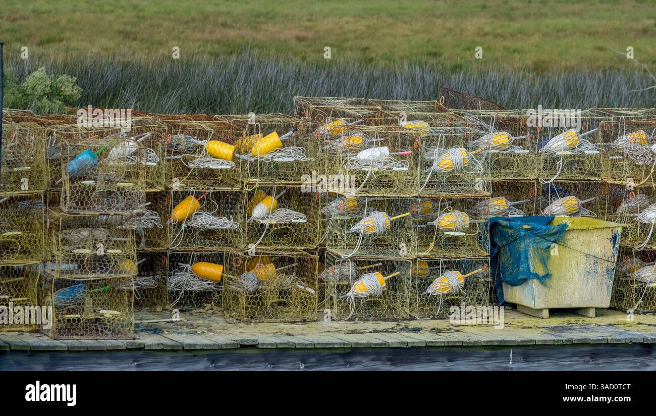 Smith Island, Maryland, rischia di sparire per sempre nella Baia di Chesapeake. Foto Stock