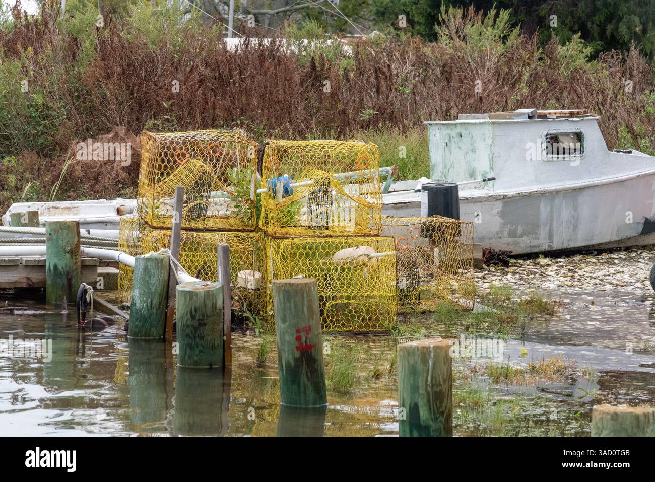 Smith Island, Maryland, rischia di sparire per sempre nella Baia di Chesapeake. Foto Stock