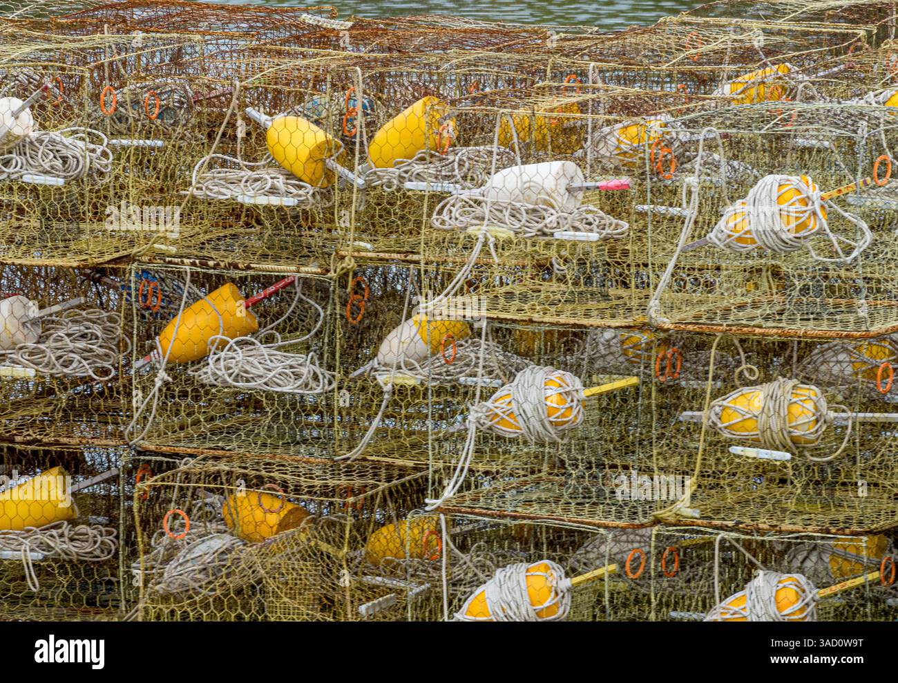 Smith Island, Maryland, rischia di sparire per sempre nella Baia di Chesapeake. Foto Stock