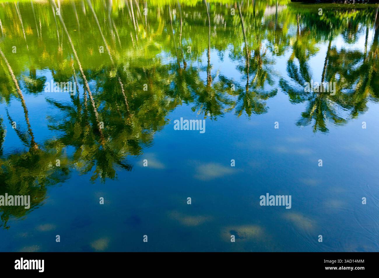 Antico stagno di pesci, villaggio di Kona, Big Island, Kona, Hawaii, STATI UNITI Foto Stock