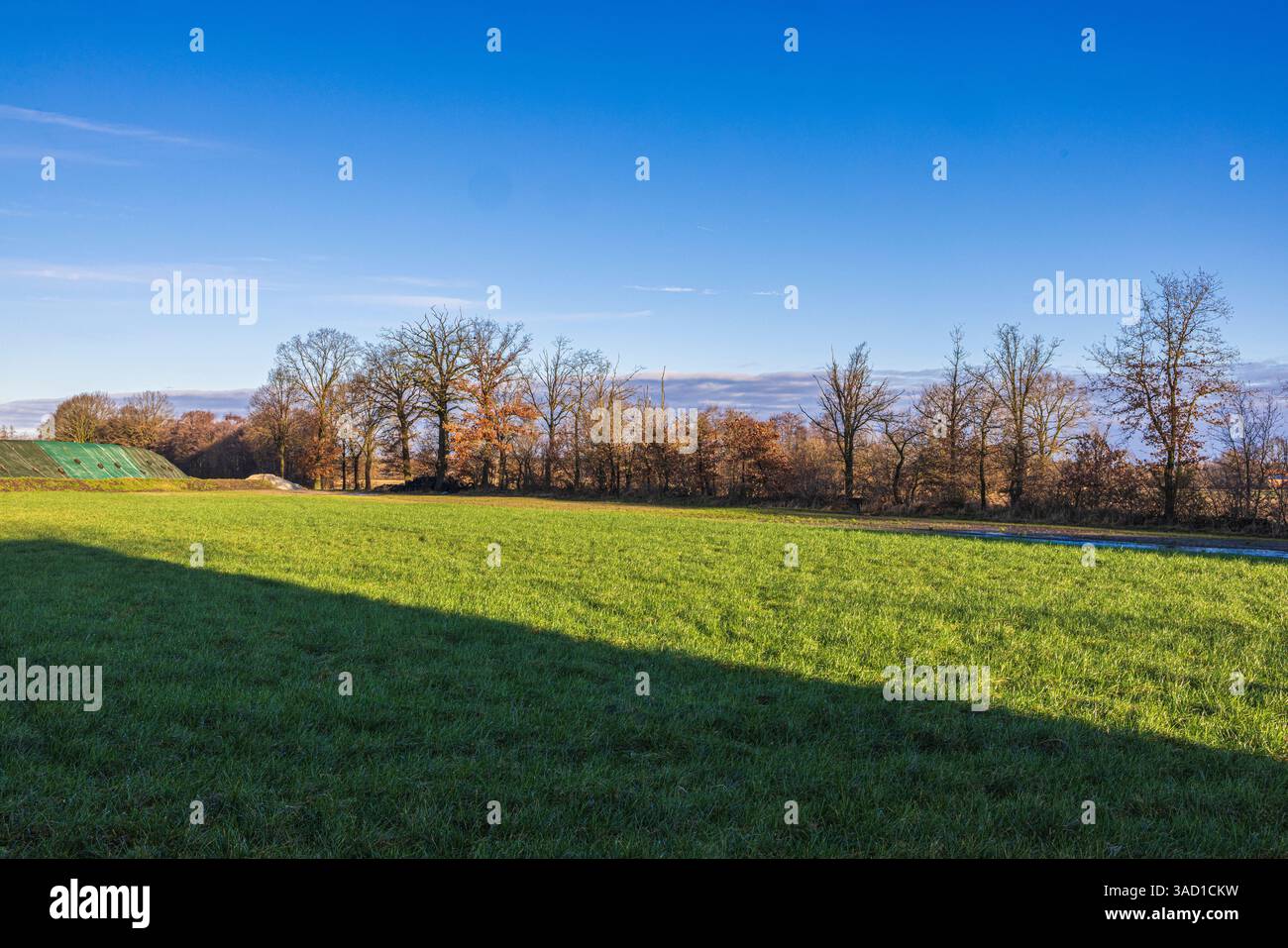 Prato, alberi, zona rurale Foto Stock