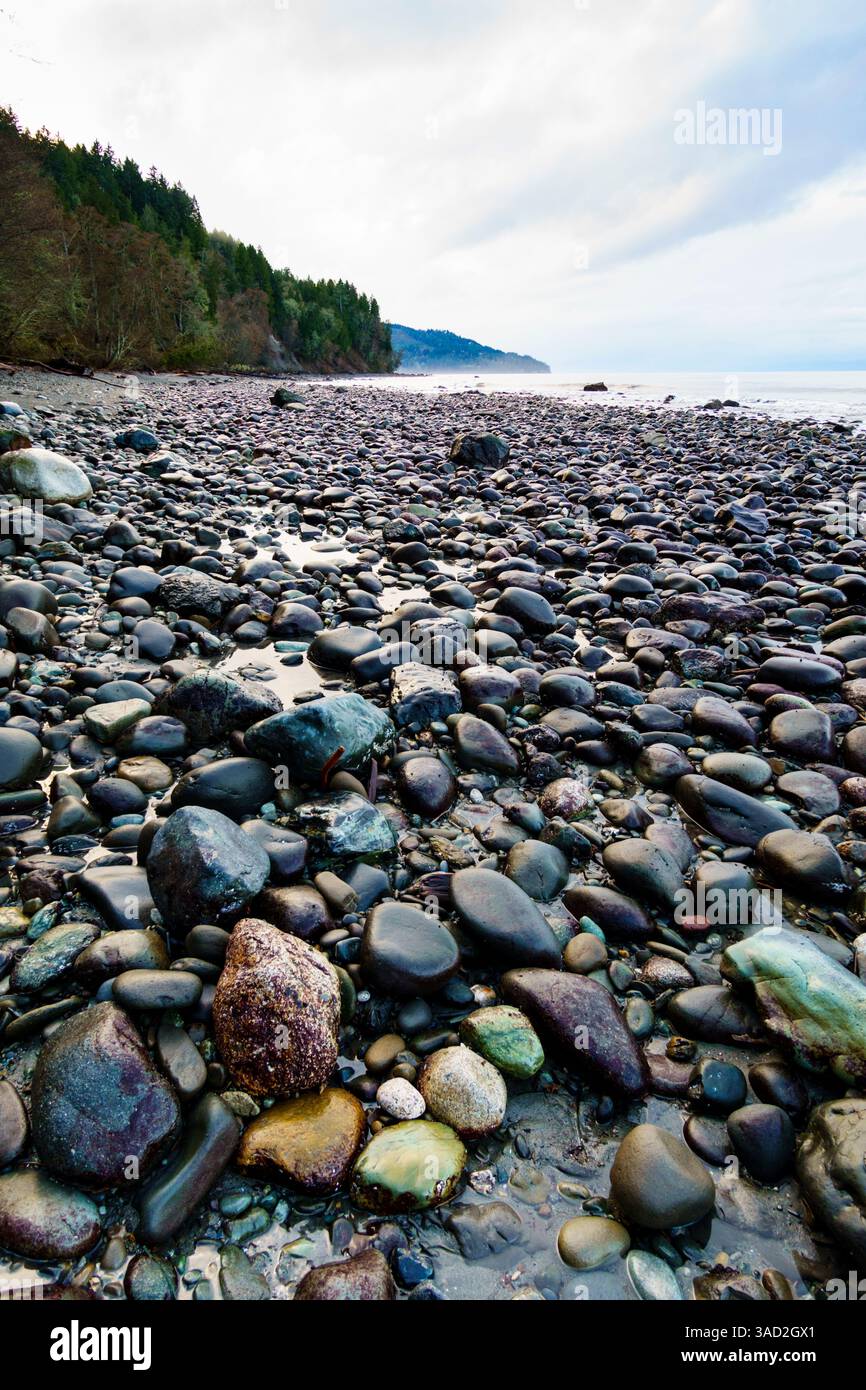 Bassa marea, spiaggia di Freshwater Bay, Port Angeles, Stato di Washington, Stati Uniti Foto Stock