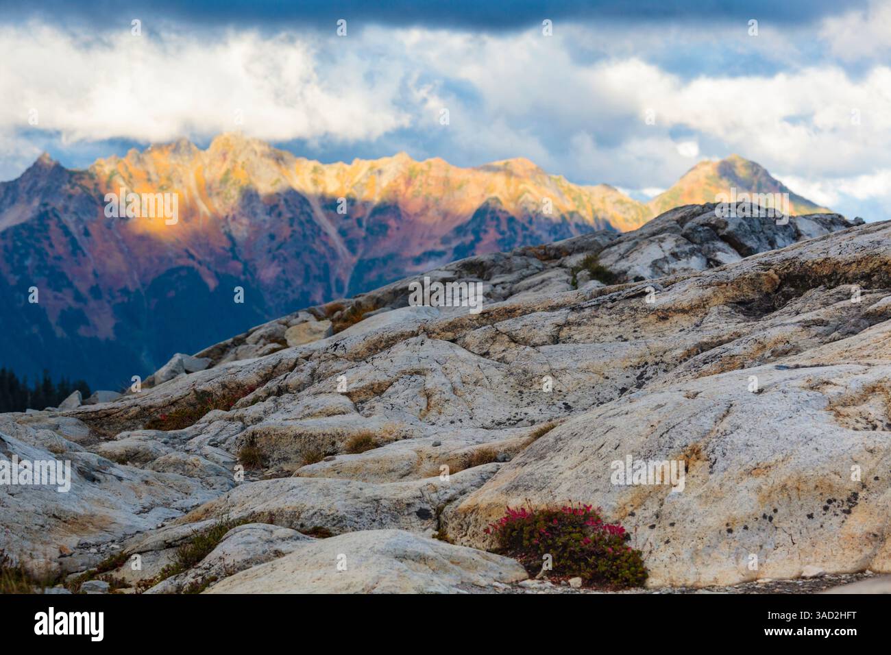 MT. Baker Ski area e Artists Point area, Washington State, Stati Uniti Foto Stock