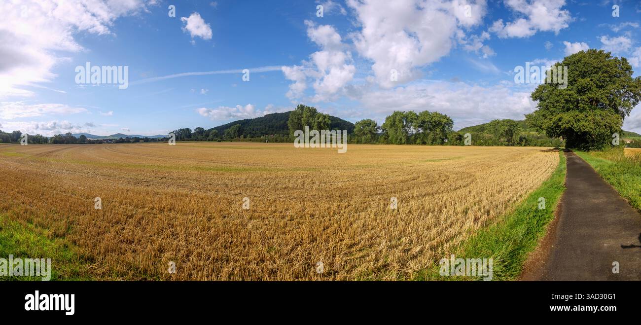 Germania, Turingia, Rhönradweg vicino a Geisa, paesaggio con campo di grano Foto Stock