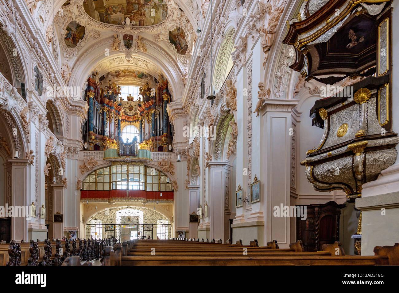 Germania, Baviera, Waldsassen, Monastero di Waldsassen, Basilica Collegiata, interno Foto Stock