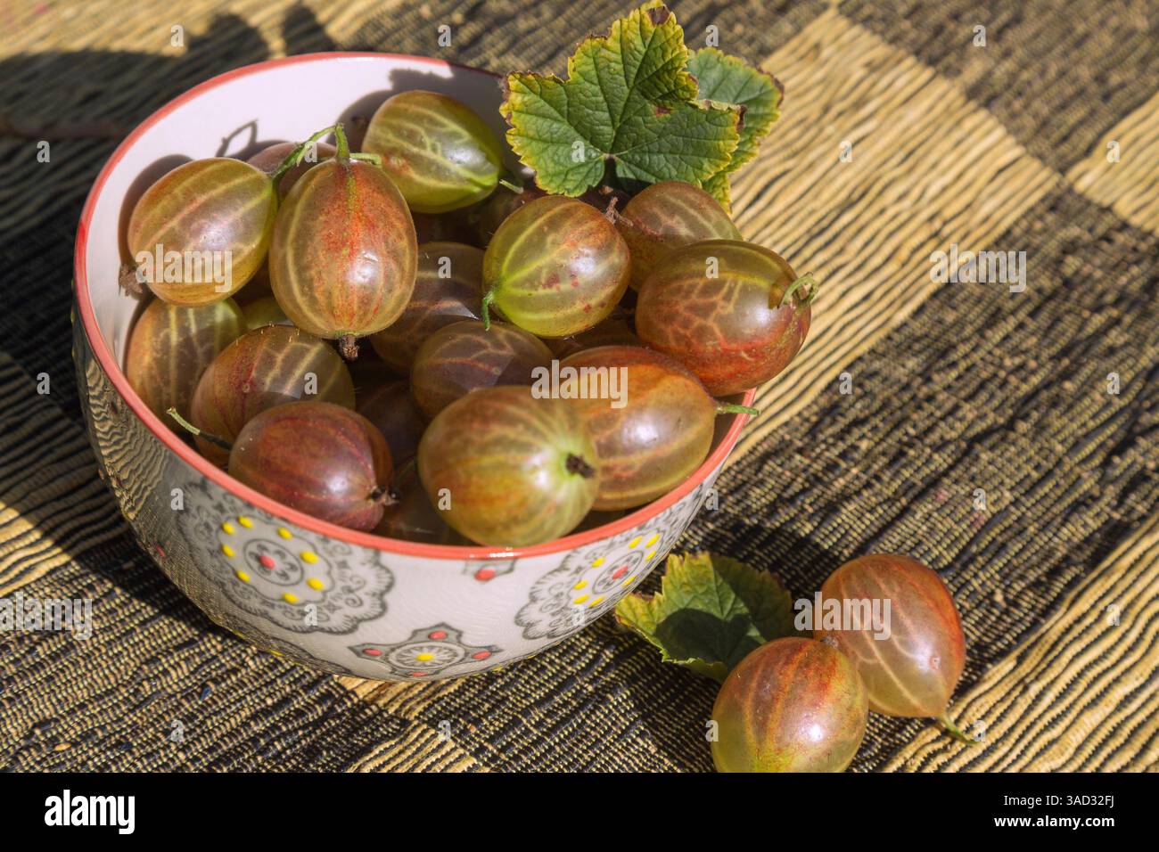 uva spina, Ribes uva-crispa, in una piccola ciotola e su un corridore da tavola Foto Stock