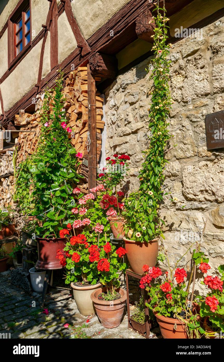 Horb, gerani e piante rampicanti in vasi di fiori accanto a un mucchio di legno sul muro di una vecchia casa a graticcio. Foto Stock
