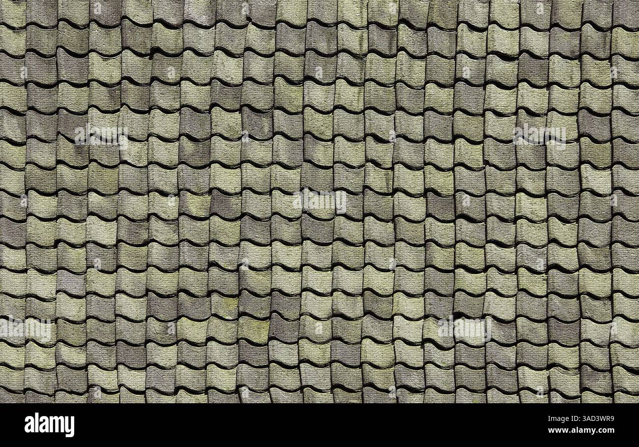 Le tegole verdi sovrapposte formano un motivo ondulato e testurizzato. Bielorussia Foto Stock