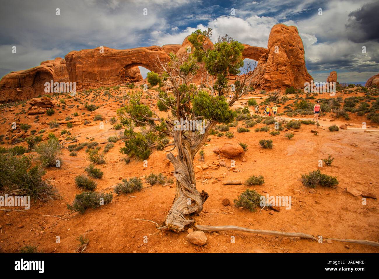 Turret Arch, Arches National Park, Utah, Stati Uniti Foto Stock