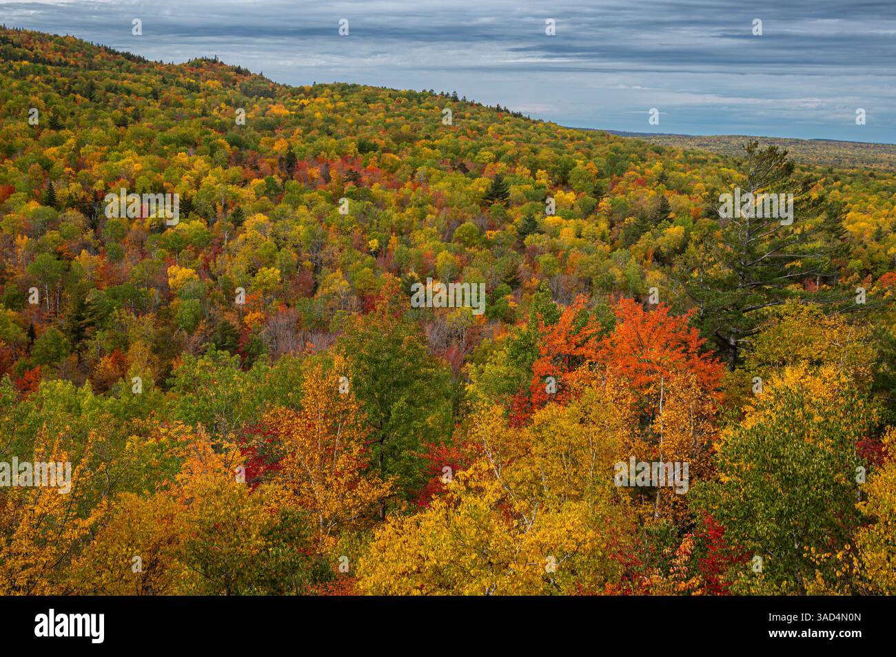 Stati Uniti, Maine. Colorato fogliame autunnale, Baxter State Park Foto Stock
