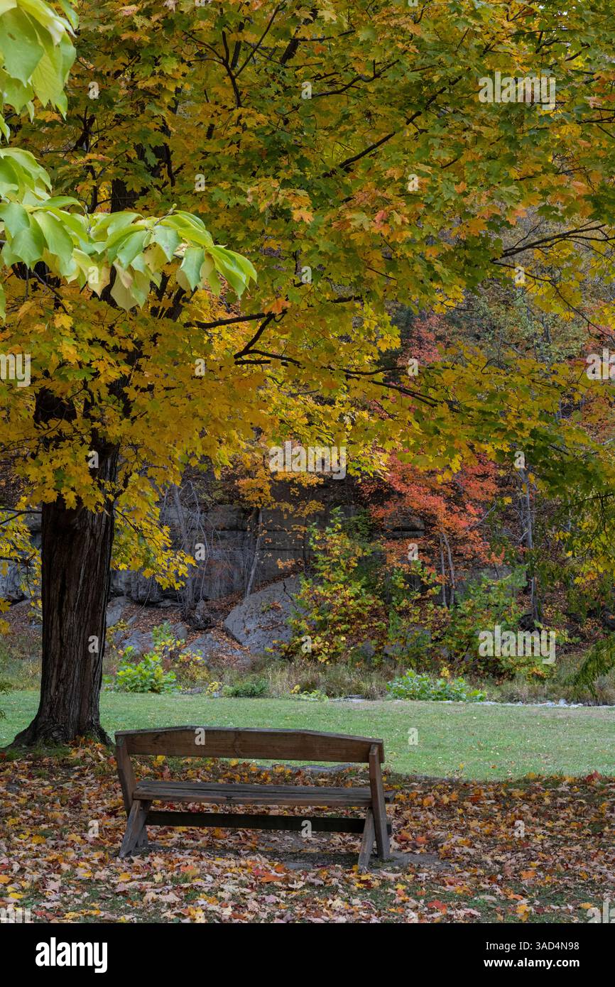 USA, New York. Fai una panchina nel Taughannock Falls State Park. Foto Stock