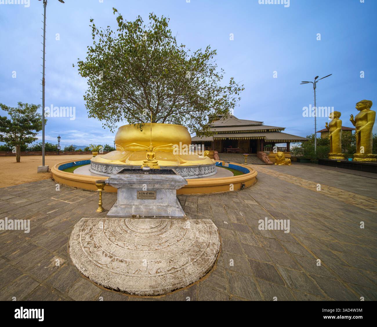 Un sacro santuario sull'albero di Bodhi presso il Centro buddista Internazionale di Nelligala, Sri Lanka, che simboleggia l'illuminazione e la pace, circondato da statue dorate e Foto Stock