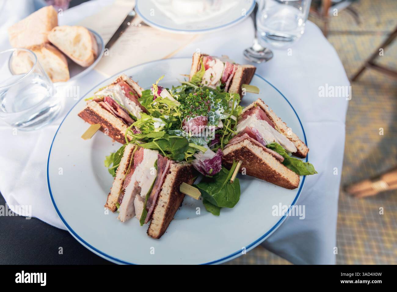 piatto bianco con panini di pollo a fette e insalata verde in un ristorante. Foto di alta qualità Foto Stock