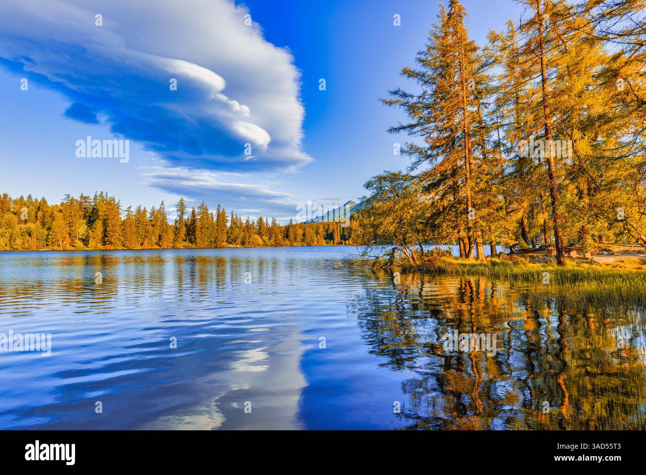 Splendidi riflessi autunnali del lago pini cielo pastello tranquillo superficie d'acqua foresta di montagna paesaggio naturale stagionale Foto Stock