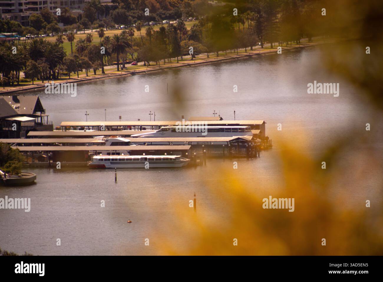 I traghetti attraccati riposano in un tranquillo terminal sul fiume, incorniciato da alberi dorati e acque calme. Un momento di pace catturato tra natura e movimento cittadino. Foto Stock