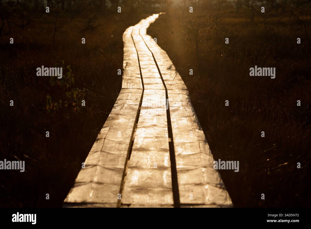 Percorso silenzioso Foto Stock