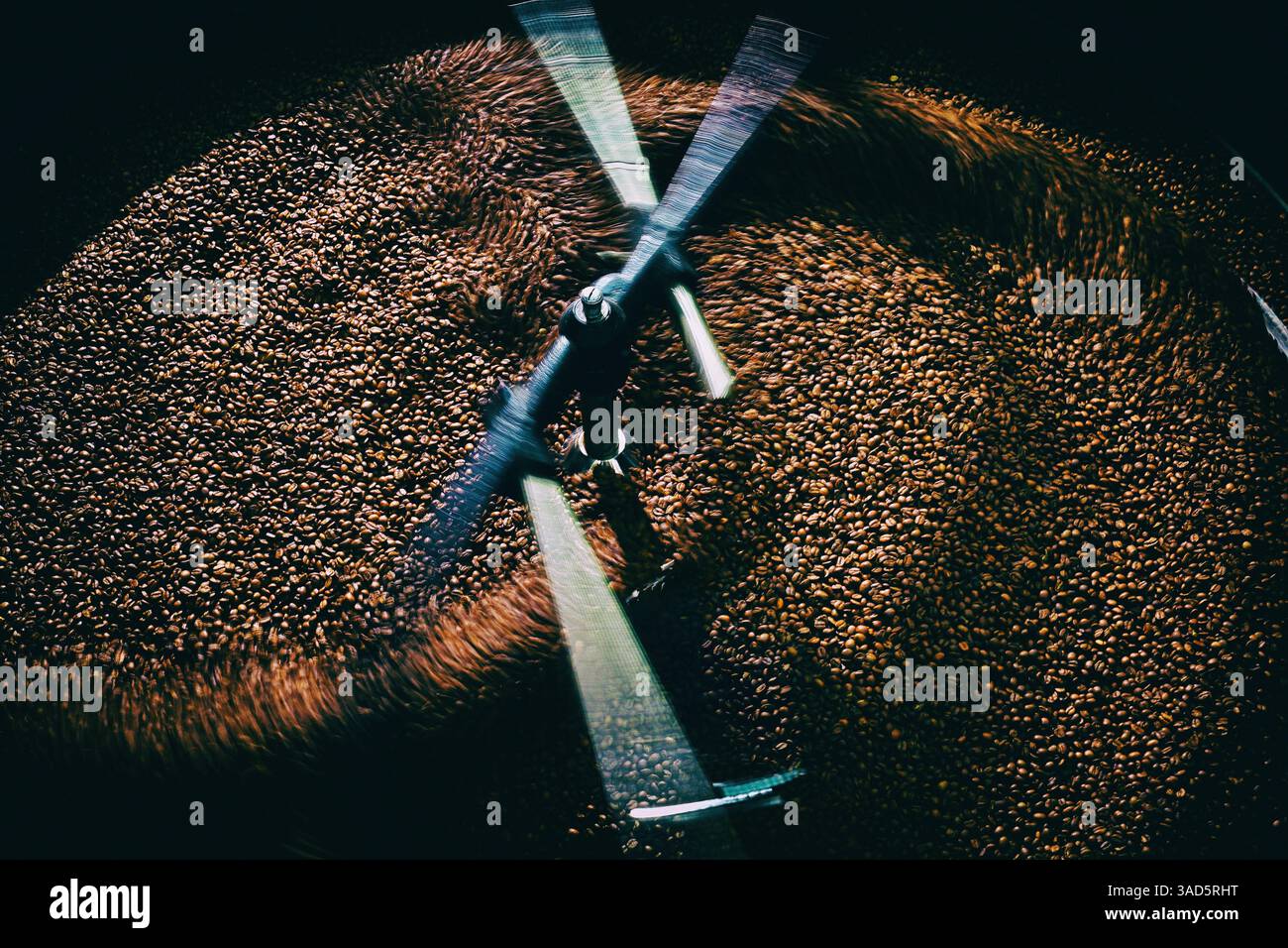 I chicchi di caffè appena tostati con sfocatura in movimento sui chicchi. Foto Stock