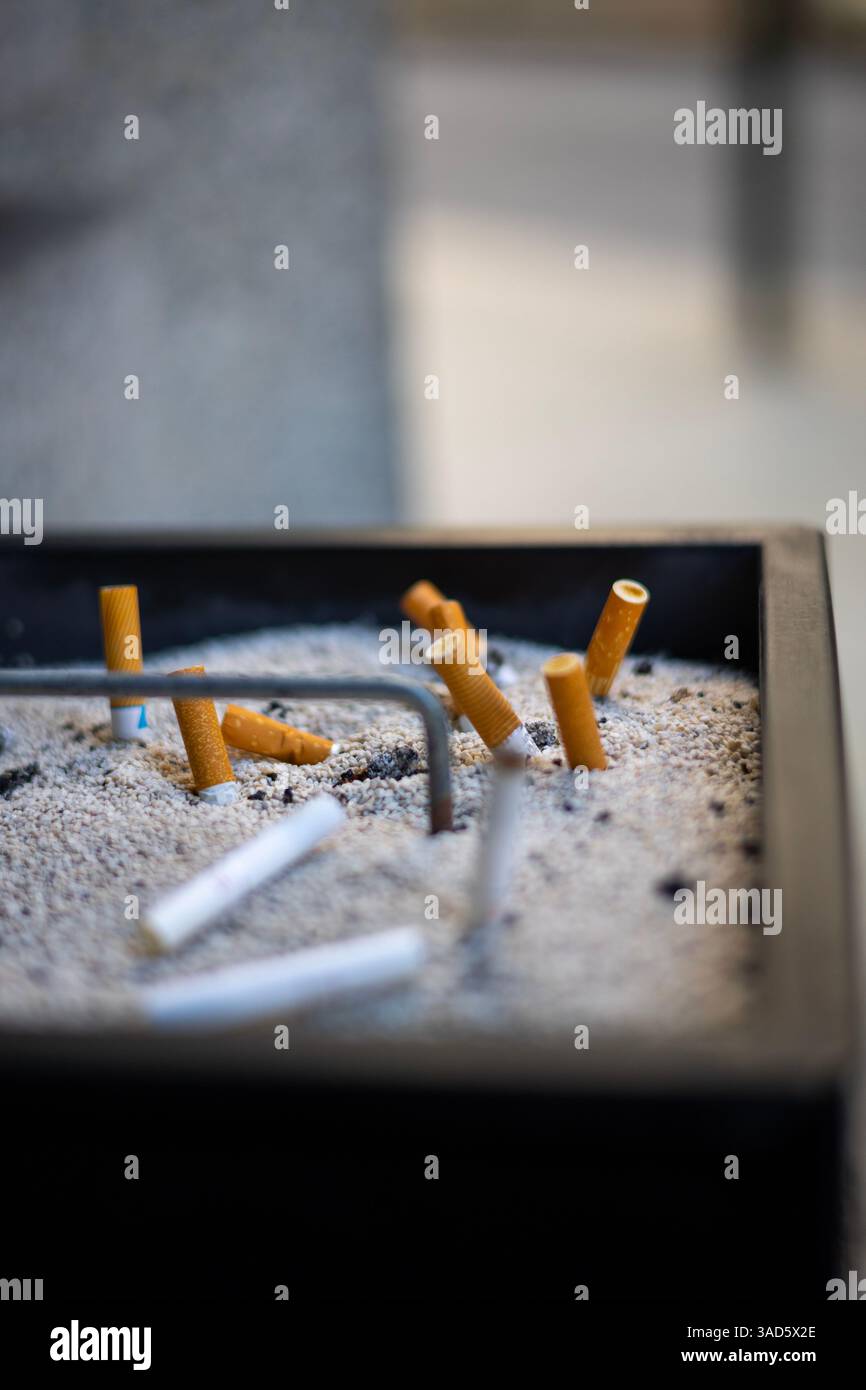 Primo piano di un posacenere pieno di mozziconi di sigaretta spenti nella sabbia. Foto Stock