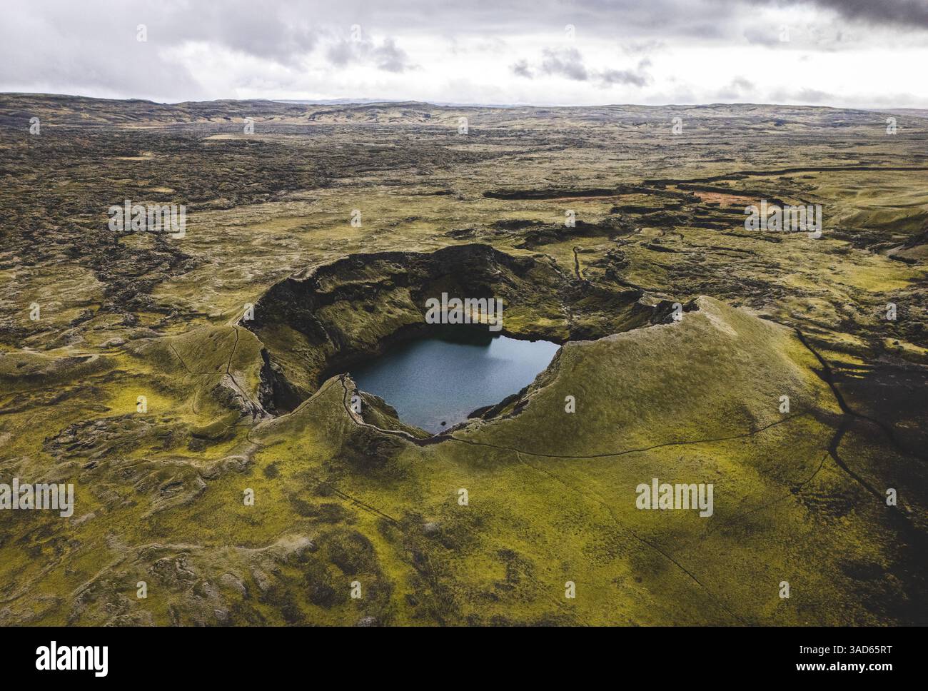 I crateri Laki in Islanda Foto Stock