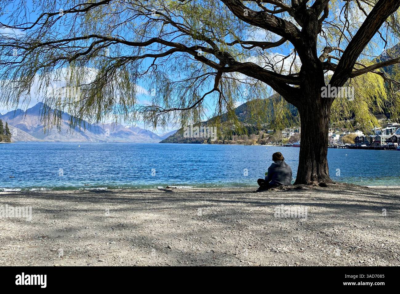 Solitudine sotto il salice - un momento di pace nelle acque cristalline del Lago Wakatipu, Queenstown. Foto Stock