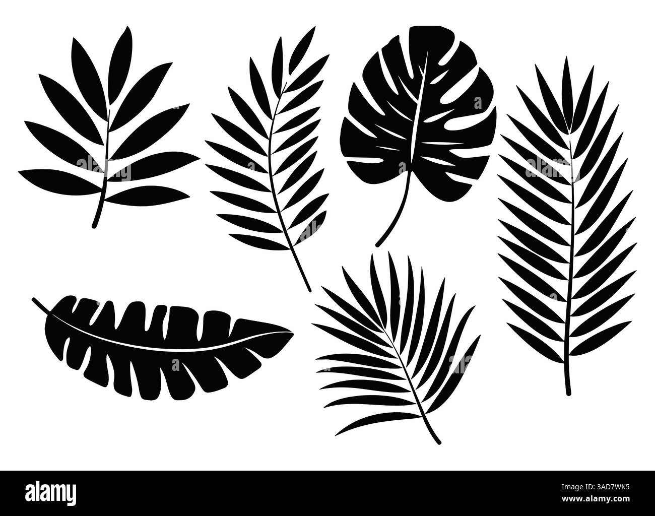Set di silhouette a foglie di palma isolate su sfondo bianco. Elementi botanici tropicali in nero, perfetti per disegni, loghi e disegni ispirati alla natura e dicembre Illustrazione Vettoriale