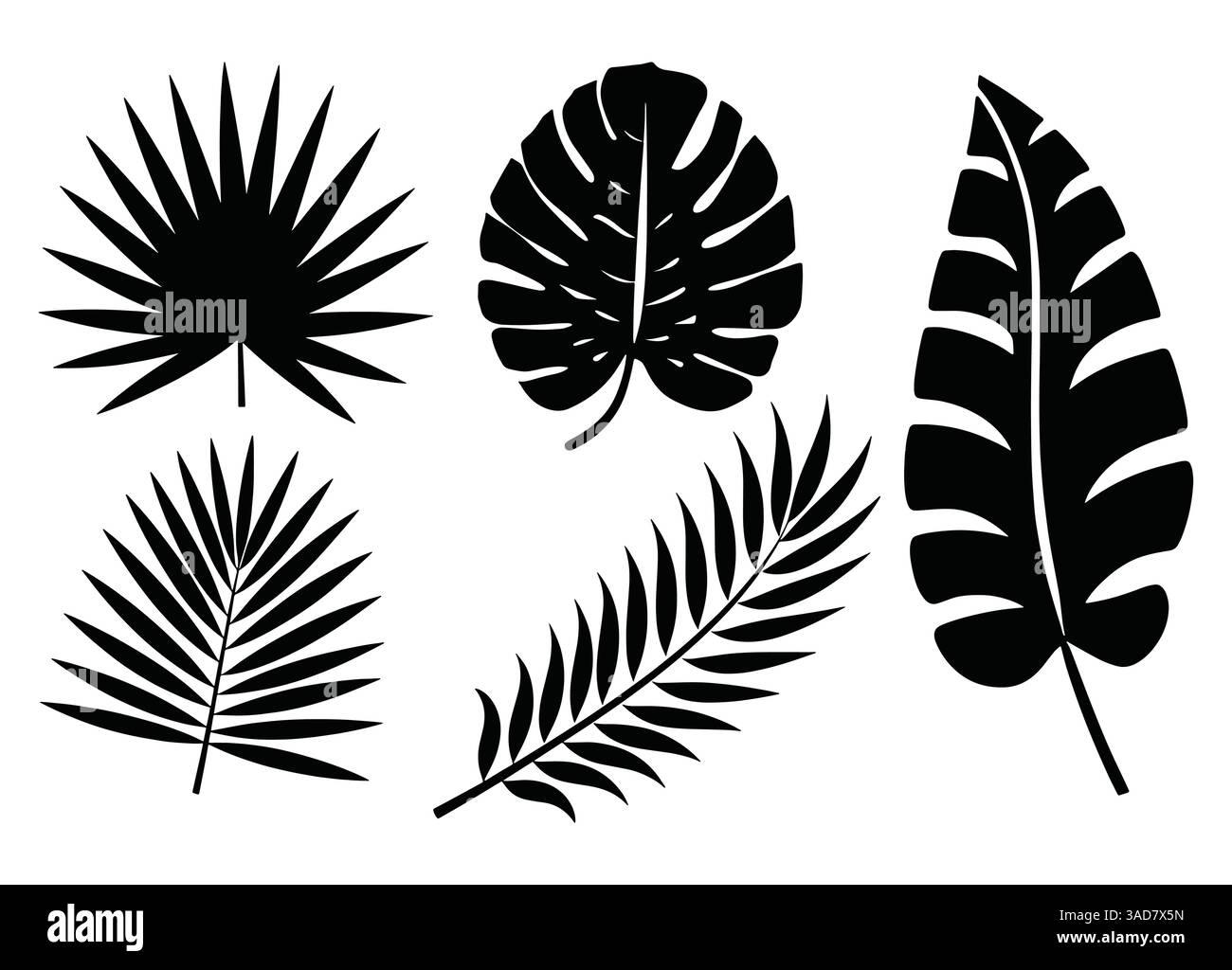 Set di silhouette a foglie di palmo in nero. Collezione di fogliame tropicale isolata su sfondo bianco, perfetta per disegni botanici, motivi e decorazioni Illustrazione Vettoriale