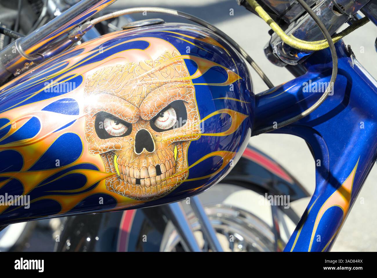 Serbatoio carburante Harley Davidson blu con teschio senza denti dorato. Il logo del marchio è molto pulito e lucido. Foto Stock