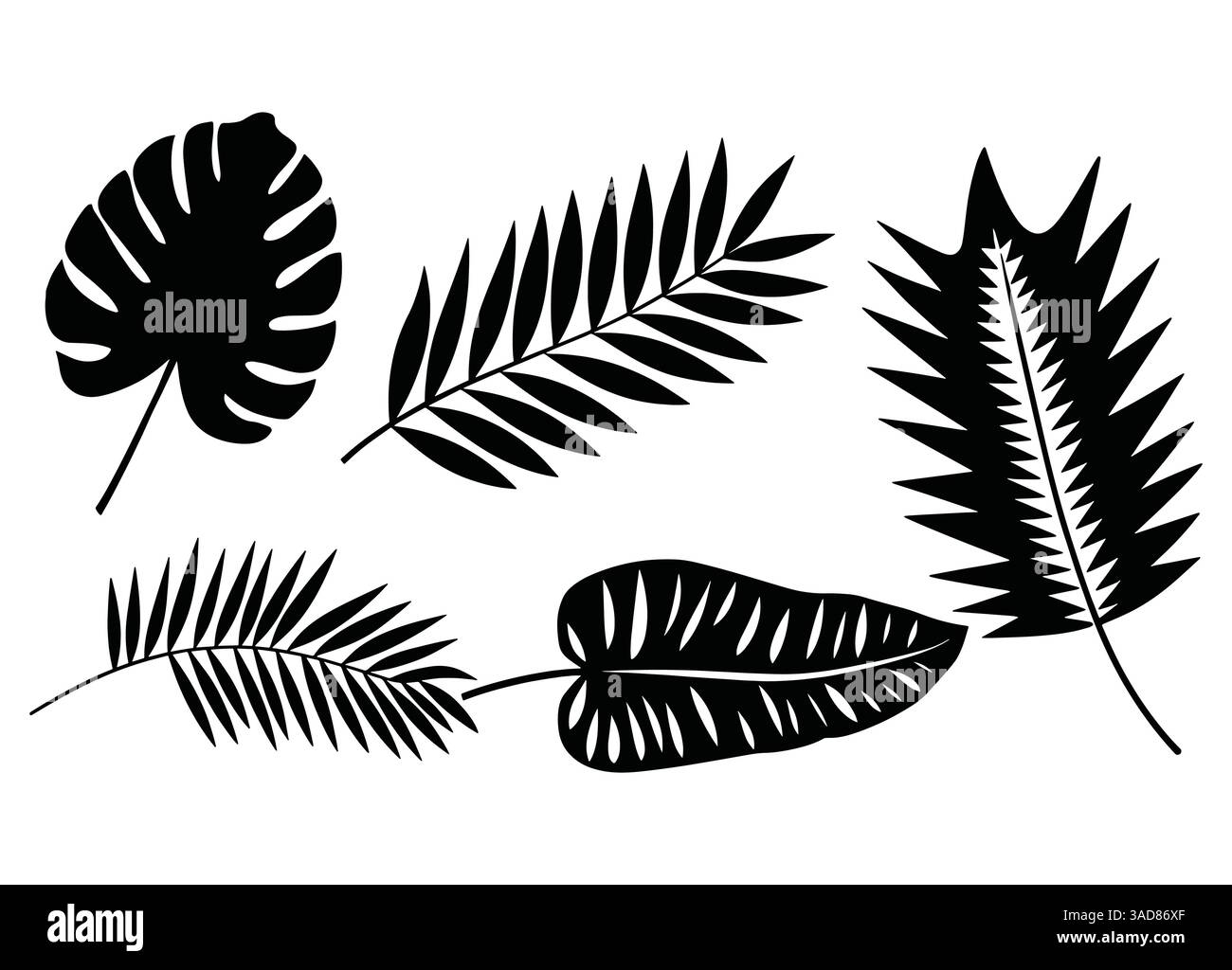Set di silhouette a foglie di palmo in nero. Collezione di fogliame tropicale isolata su sfondo bianco, perfetta per disegni botanici, motivi e decorazioni Illustrazione Vettoriale