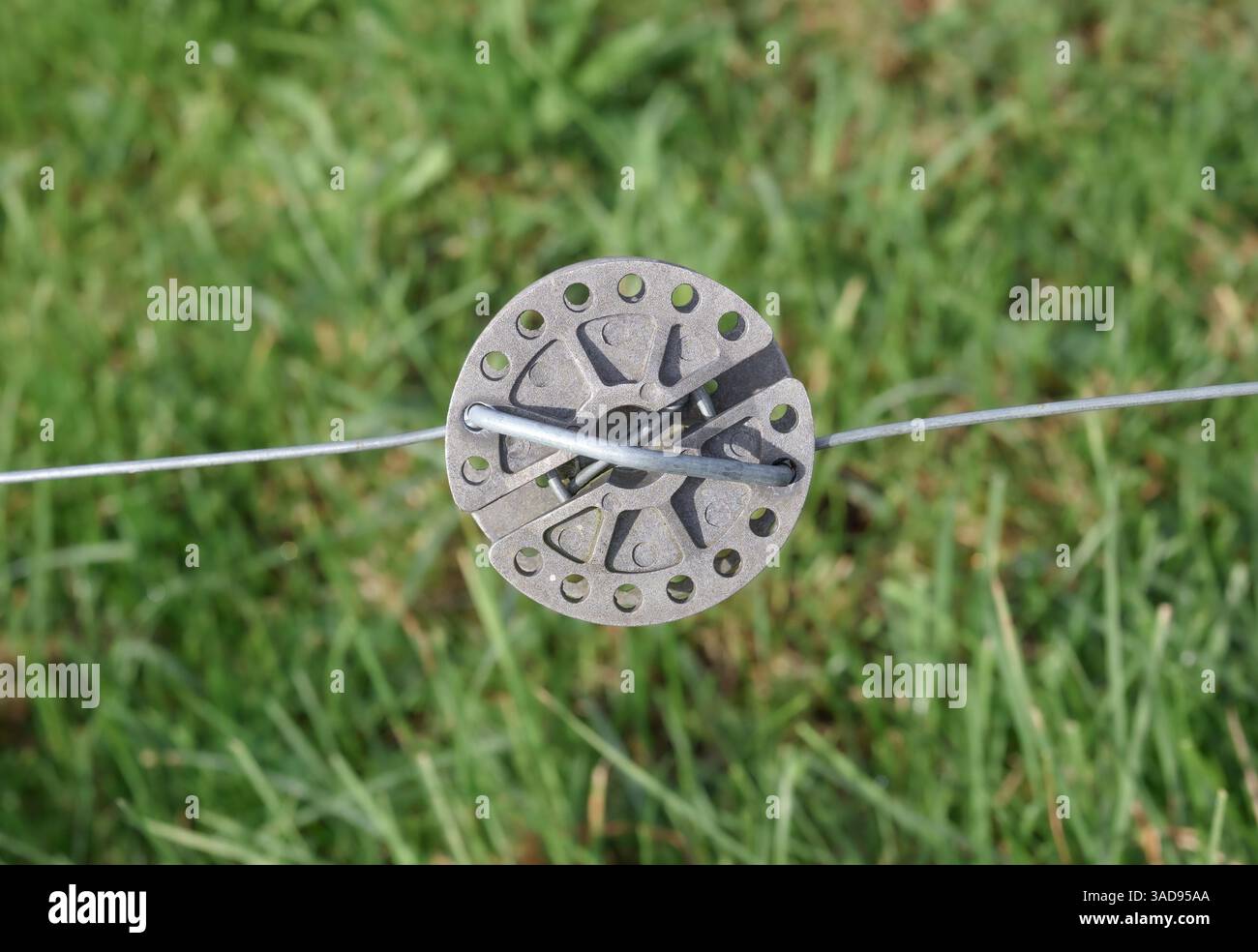 Filtro a rete o serrafili per recinzioni elettriche o fili trellanti. Serrare le recinzioni esistenti in entrambe le direzioni. Recinzione elettrica per pascoli animali a Lu Foto Stock