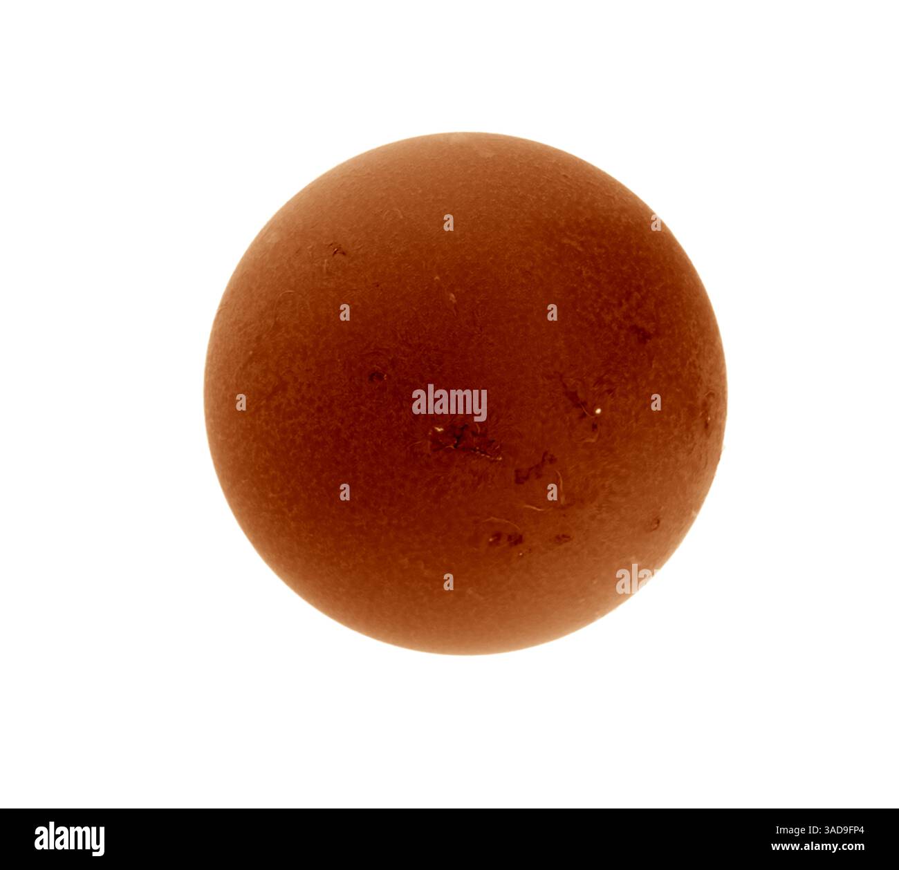 Londra, Regno Unito, 5 aprile 2025. L'intero disco del Sole fotografato in banda d'onda alfa Hydrogen che mostra tempeste attive nella cromosfera. Sfondo bianco Foto Stock