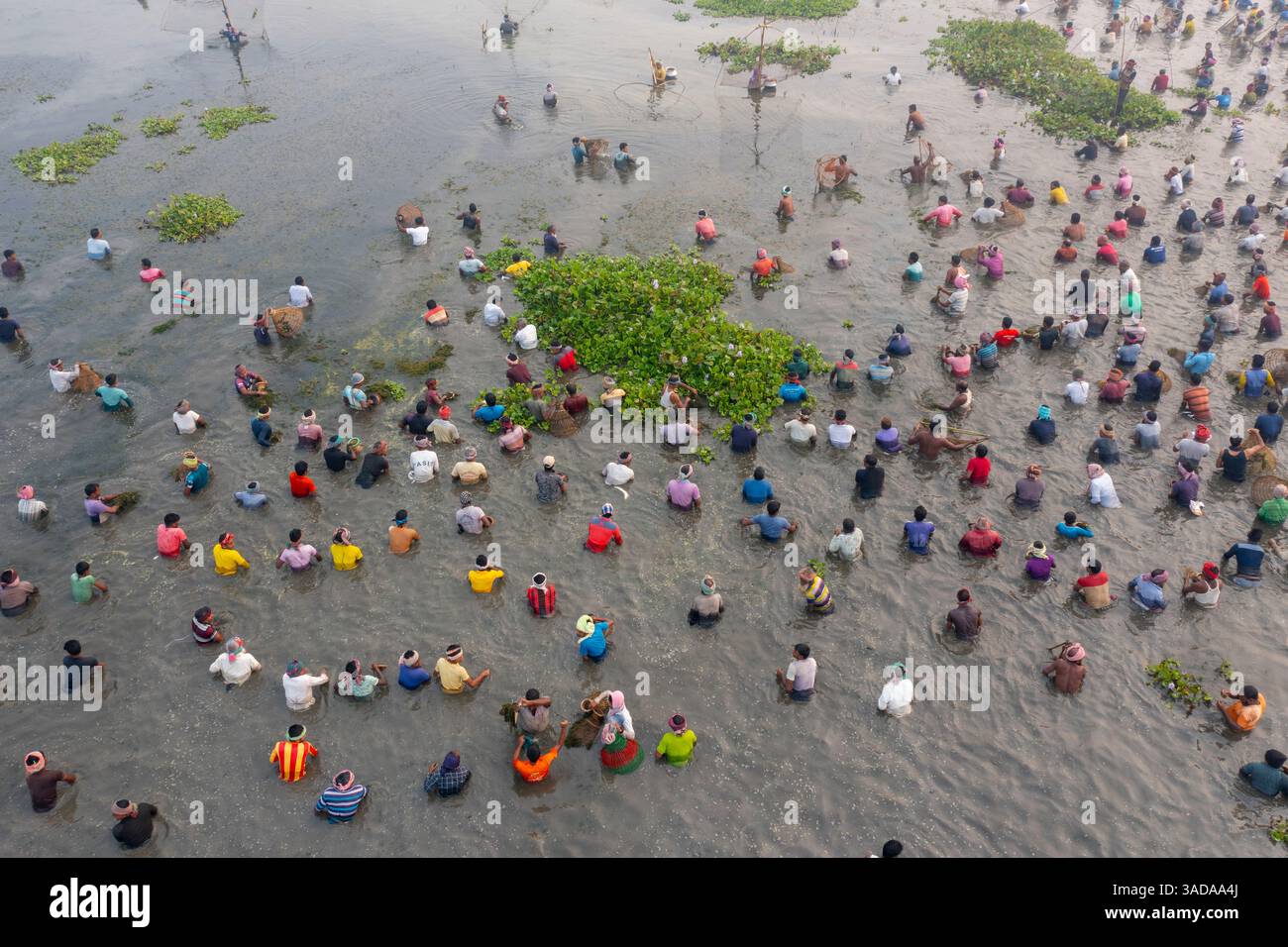 Veduta aerea di 'Baut Utshav', un tradizionale festival della pesca a Chalan Beel, Chatmohar, distretto di Pabna, Bangladesh. Migliaia di pescatori dilettanti Foto Stock