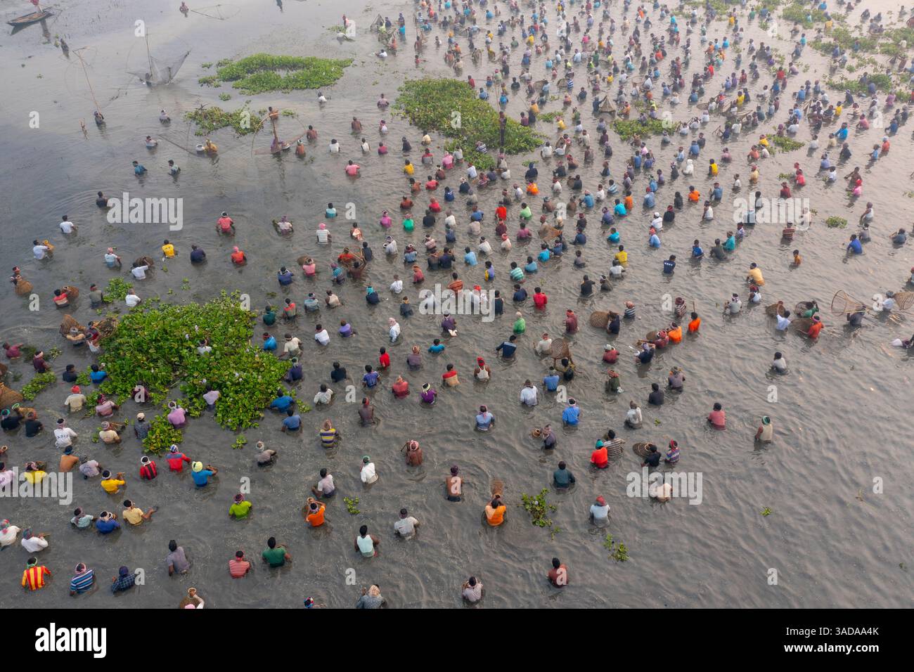 Veduta aerea di 'Baut Utshav', un tradizionale festival della pesca a Chalan Beel, Chatmohar, distretto di Pabna, Bangladesh. Migliaia di pescatori dilettanti Foto Stock