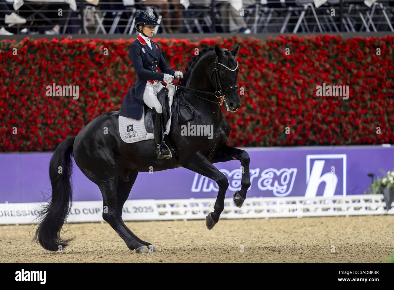 Norway's Isabel Freese, riding Total Hope OLD, competes in the dressage event at the equestrian world cup finals at the St. Jakobshalle in Basel, Switzerland, Saturday, April 5, 2025. (Til Buergy/Keystone via AP) Foto Stock