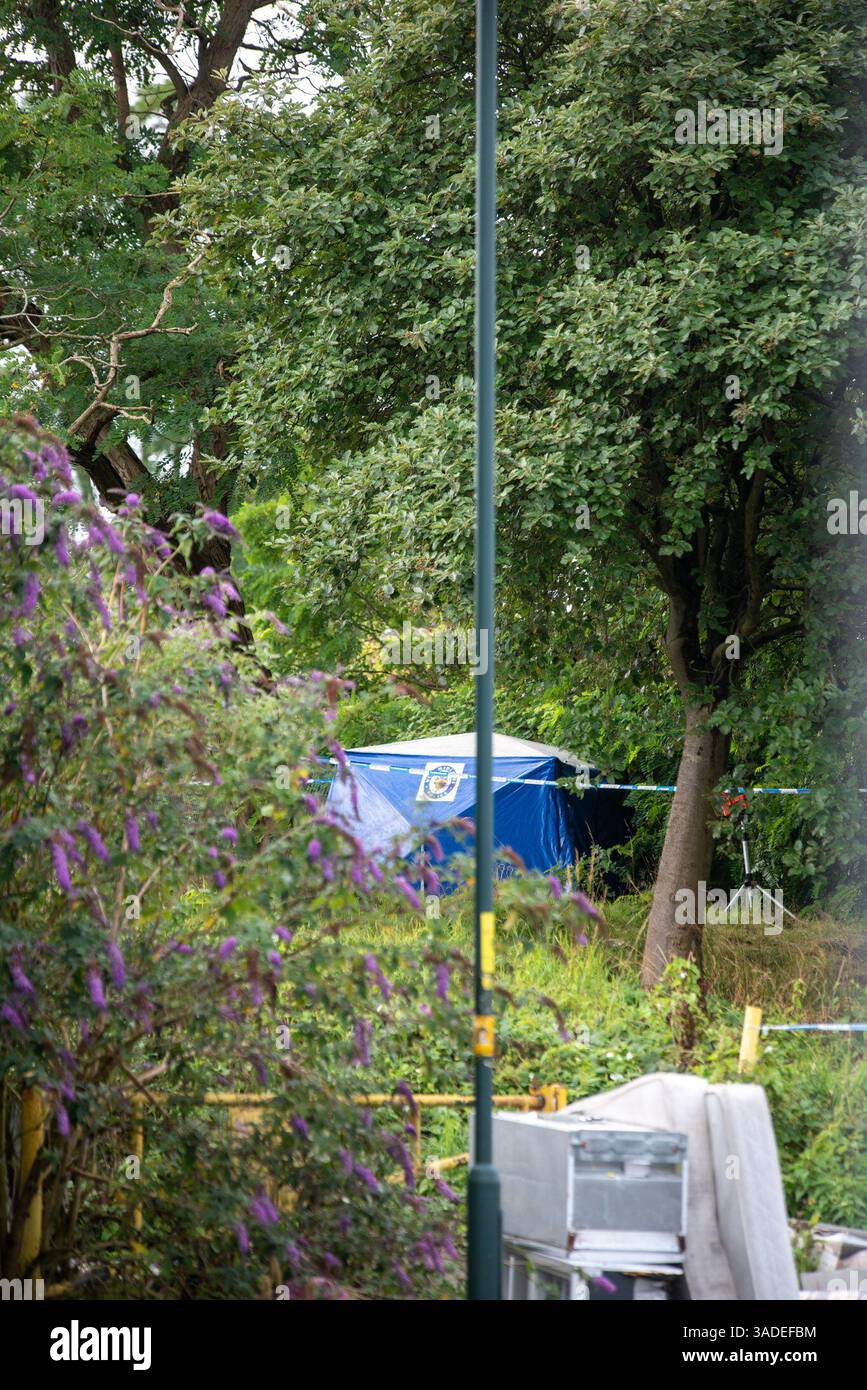 LADYWOOD INCINTA OMICIDIO - Filmon Andmichaen, 31 anni, uccise Liwam Bereket, 26 anni, che era incinta di 27 settimane, nel bosco al largo di Freeth Street, Ladywood, Birmingham, il 1 agosto 2023. La signora Bereket è stata pugnalata al collo, con il suo bambino nato morto nonostante un intervento di emergenza cesareo in corso. La corte ha sentito che il suo bambino non ancora nato era una "complicazione che non era disposto ad accettare". Foto Stock