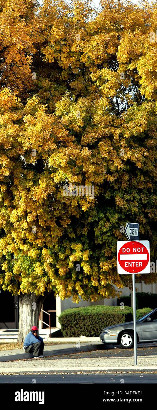 Un uomo siede sul marciapiede nel parcheggio della Chester Avenue Community Church in South Chester Avenue, mercoledì pomeriggio. (Immagine di credito: The Bakersfield Californian/ZUMAPRESS.com) Foto Stock