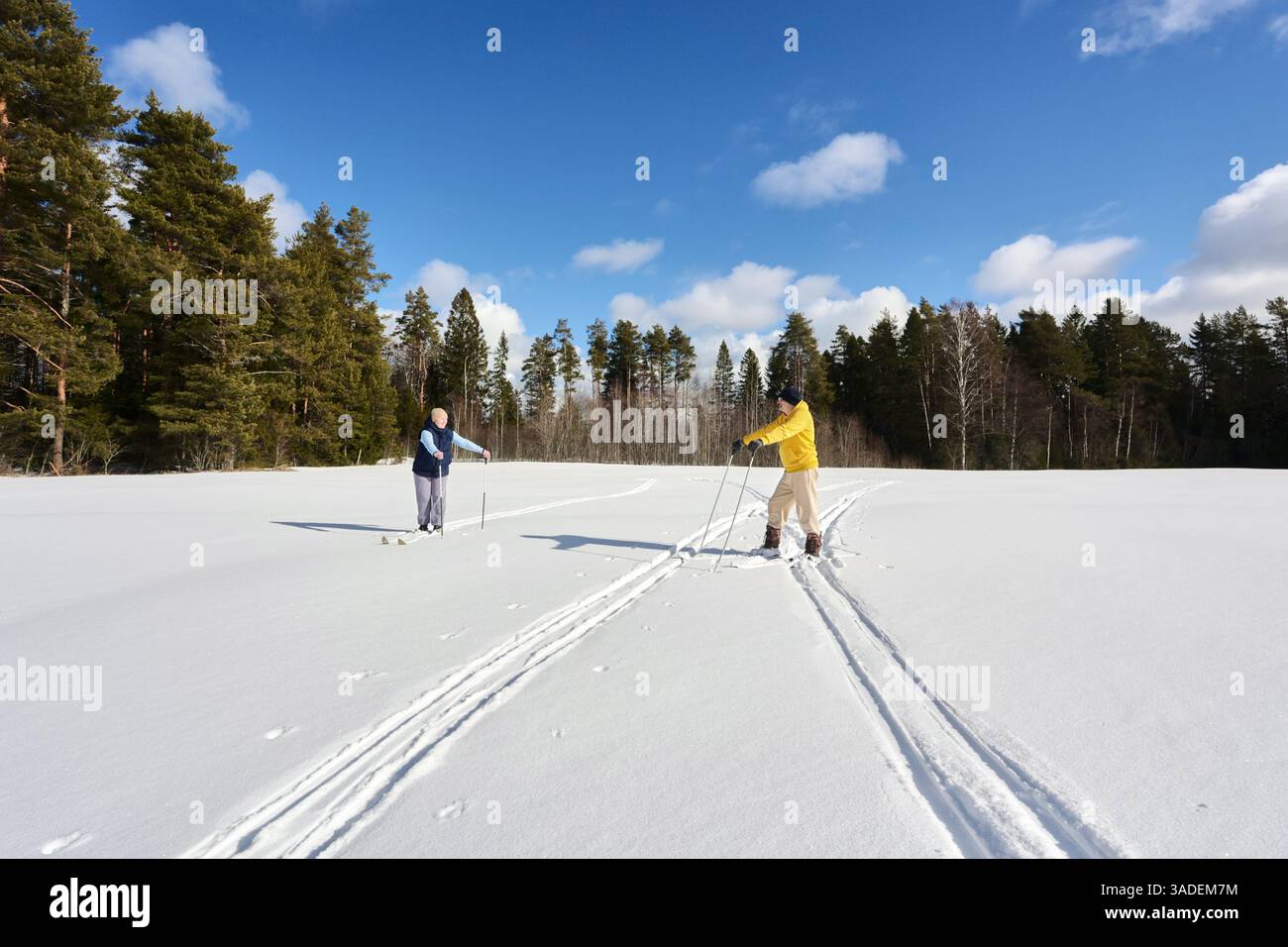 Gli adulti più anziani si fermano dallo sci di fondo, l'uomo con una giacca luminosa si appoggia ai bastoni mentre la moglie si sostiene allo stesso modo, appoggiandosi sulla neve piatta Foto Stock