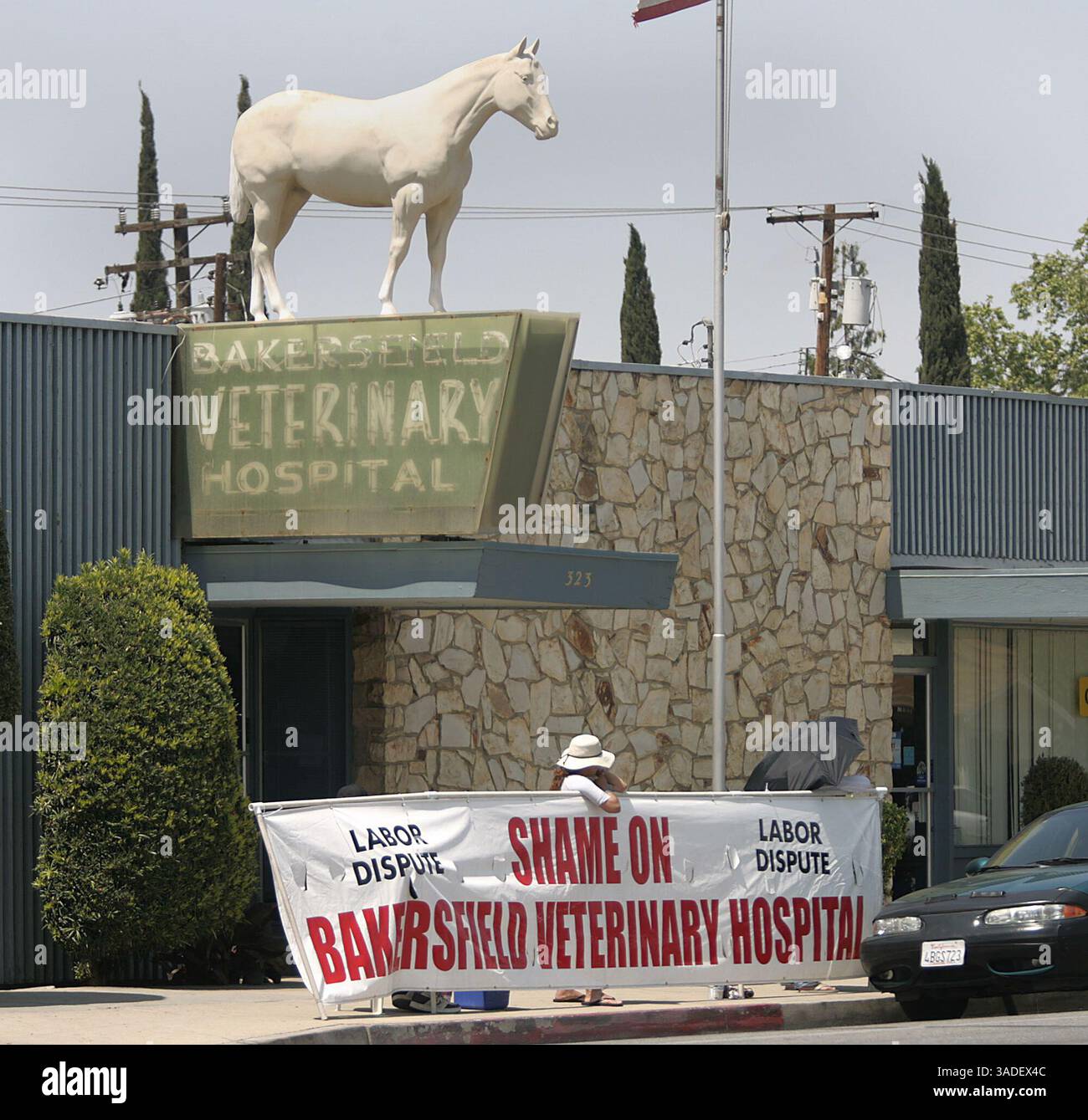 Casey Christie / The Californian. Molti hanno un cartello con la scritta "vergogna", di fronte al Bakersfield Veterinary Hospital in Chester Avenue. (Immagine di credito: The Bakersfield Californian/ZUMAPRESS.com) Foto Stock