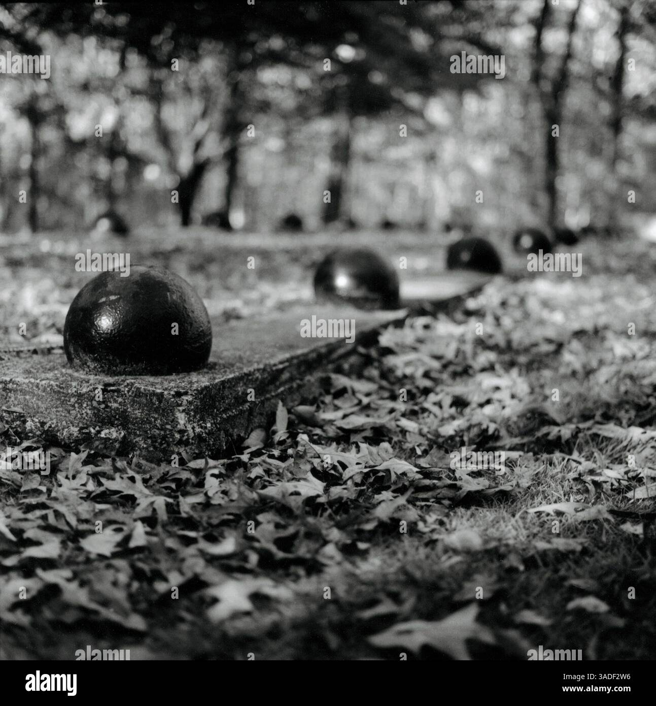 23 luglio 2005; Shiloh, TN, USA [Data sconosciuta]; una battaglia della guerra civile a Shiloh, Tennessee. (Immagine di credito: Saul Bromberger/ZUMAPRESS.com) Foto Stock