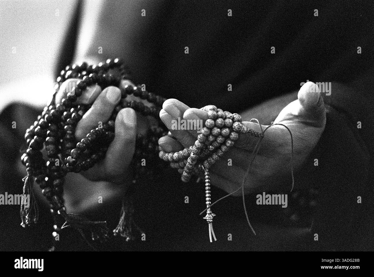 Novembre 1991 - McLeod Ganj, Dharamsala, INDIA. Sua Santità il DALAI LAMA benedice una mano di perle di preghiera a Dharamsala dove risiedono il governo in esilio dei tibetani e sua Santità il DALAI LAMA (Credit Image: David Stephenson/ZUMAPRESS.com) Foto Stock