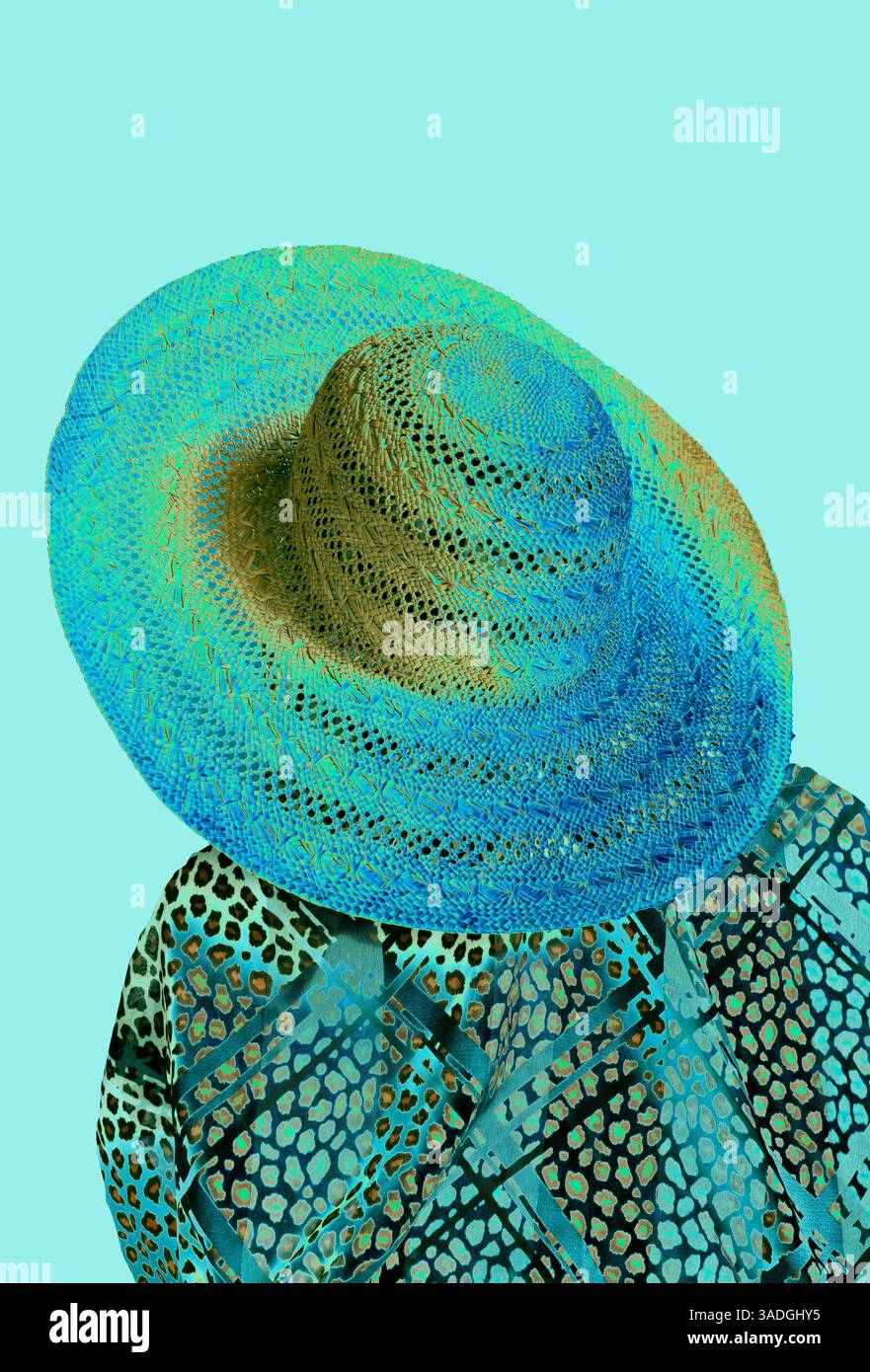 Il grande cappello di paglia indica che i colori brillanti appartengono alla primavera e all'estate. Le sfilate di moda hanno un'accattivante blusa colorata sopra le spalle dal retro. Foto Stock