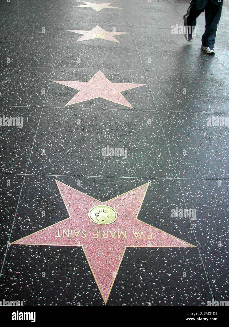 30 marzo 2004; Los Angeles, CA, Stati Uniti; The Hollywood Walk of Fame - queste celebri "star" del marciapiede salutano le celebrità che hanno reso grande Hollywood - dalle star del cinema muto di un tempo ai moderni eroi d'azione dei successi di oggi. Queste "stelle" sul marciapiede onorano non solo gli attori del cinema, ma anche gli attori della radio, della TV e del palcoscenico, i registi, cantanti, cantautori e altre celebri personalità dello show-biz. Proprio sotto il nome di ogni celebrità sulle stelle a cinque punte c'è un piccolo emblema rotondo che illustra la categoria della celebrità, con uno dei cinque simboli: Una macchina fotografica (per mov Foto Stock