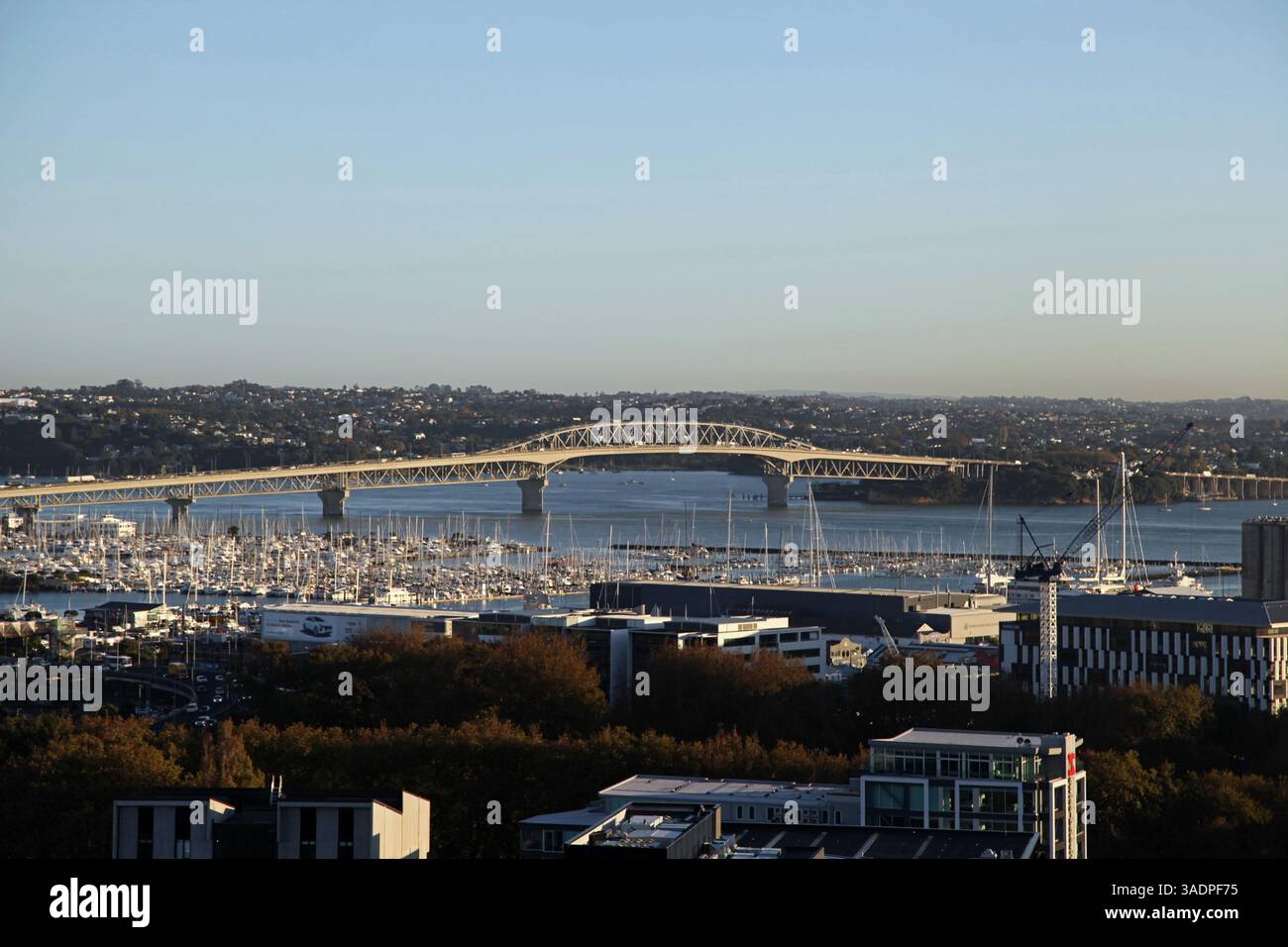 Auckland Harbor Bridge, nuova Zelanda Foto Stock