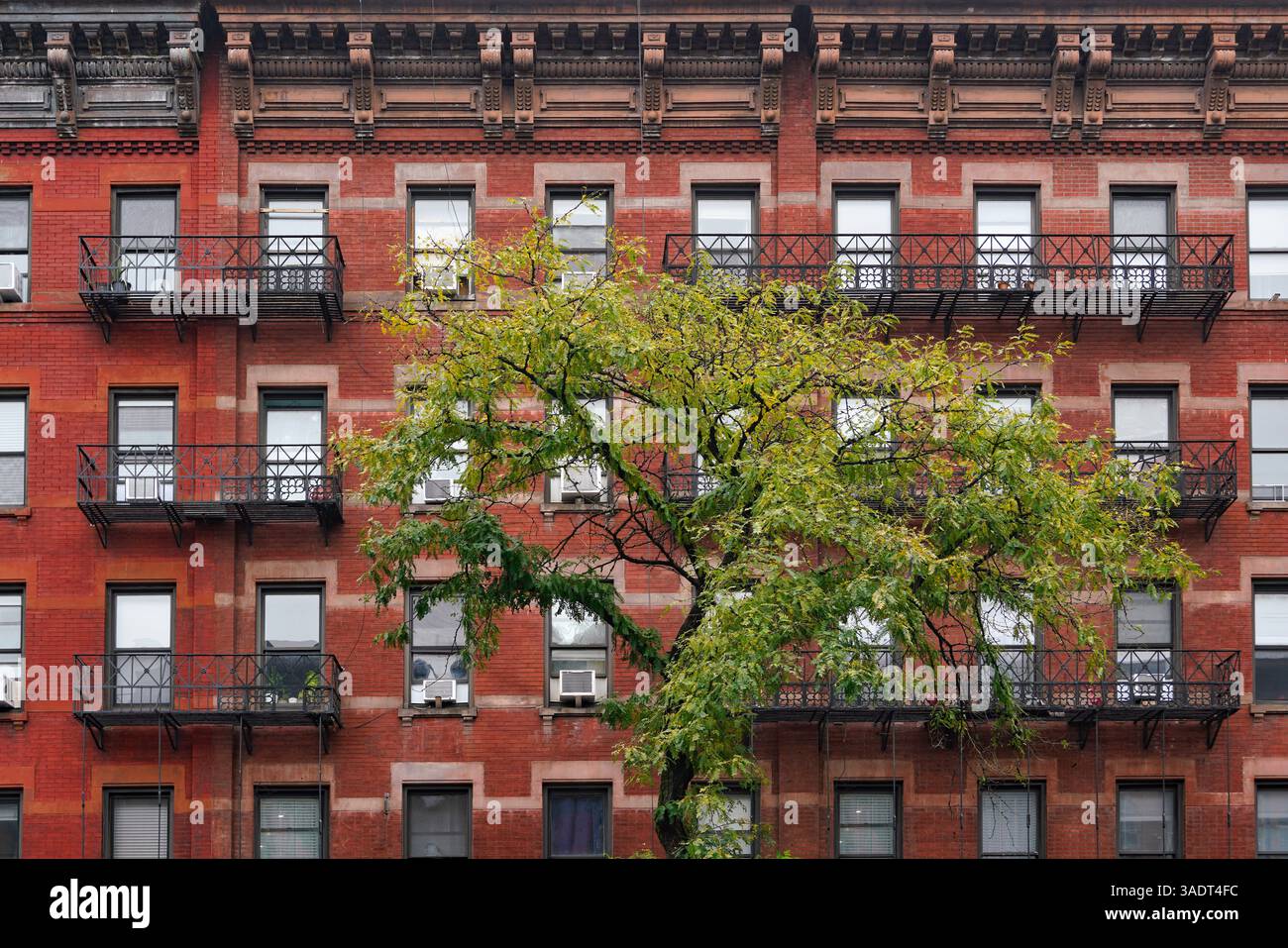Vecchio edificio di appartamenti di New York con modanature ornate davanti a un'uscita antincendio Foto Stock